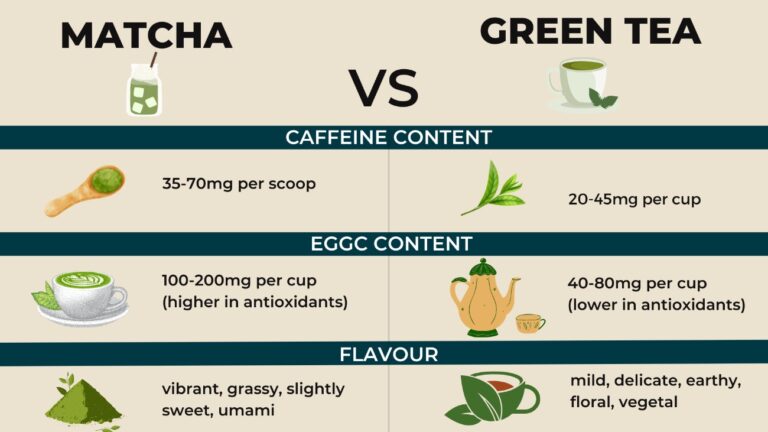 Matcha Vs Green Tea for Weight Loss: Which Works Best? 1 Matcha Vs Green Tea for Weight Loss